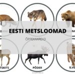 TASUTA EESTI METSLOOMADE ÕPPEKAARDID