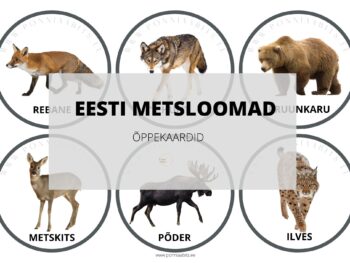 TASUTA EESTI METSLOOMADE ÕPPEKAARDID