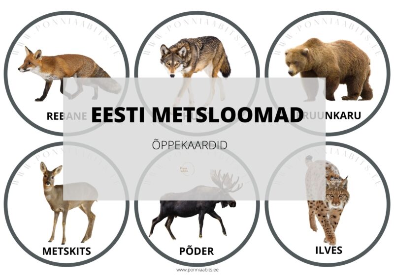 TASUTA EESTI METSLOOMADE ÕPPEKAARDID