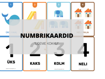 NUMBRI KAARDID 1-20 LOEME KOKKU