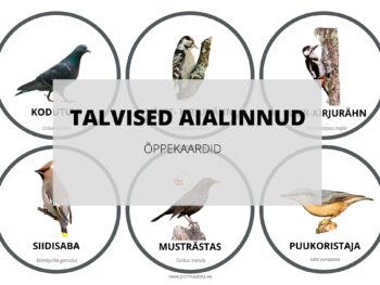 Talvised aialinnud