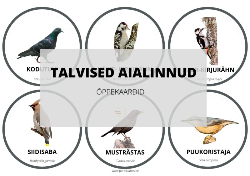 Talvised aialinnud