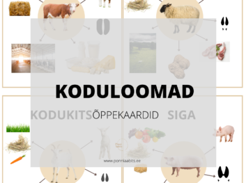 Koduloomade õppekaardid