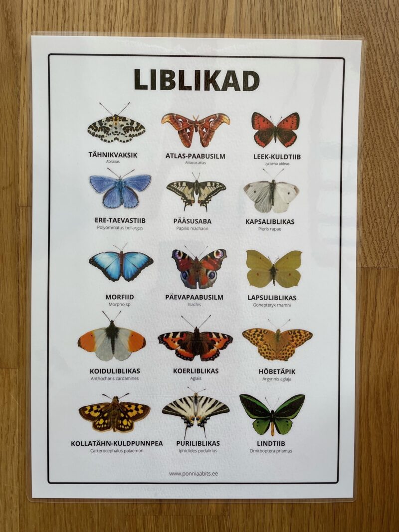 liblikate plakat