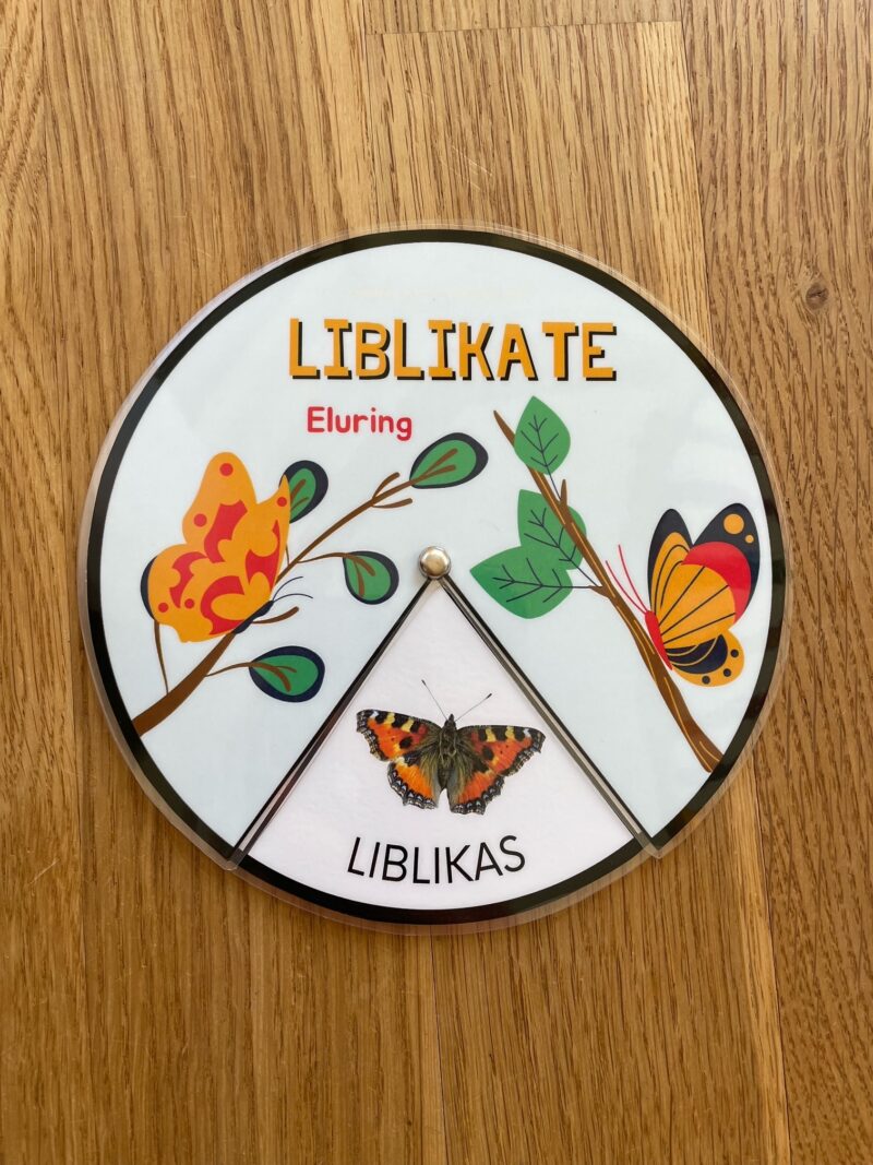 Liblika eluringi ketas